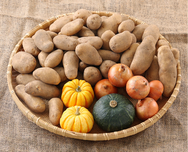 秋の収穫野菜セット