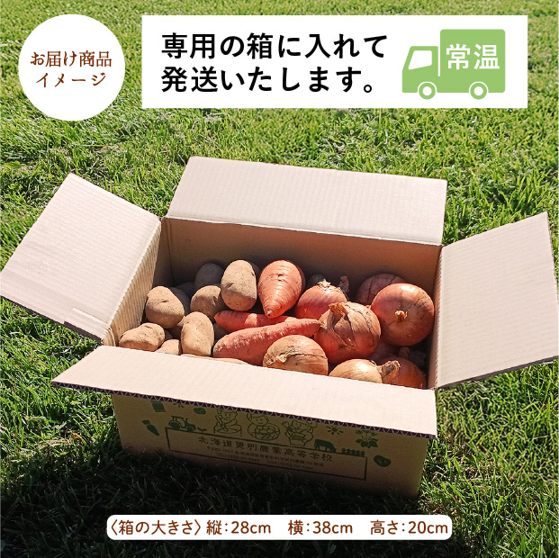 秋の収穫野菜セット