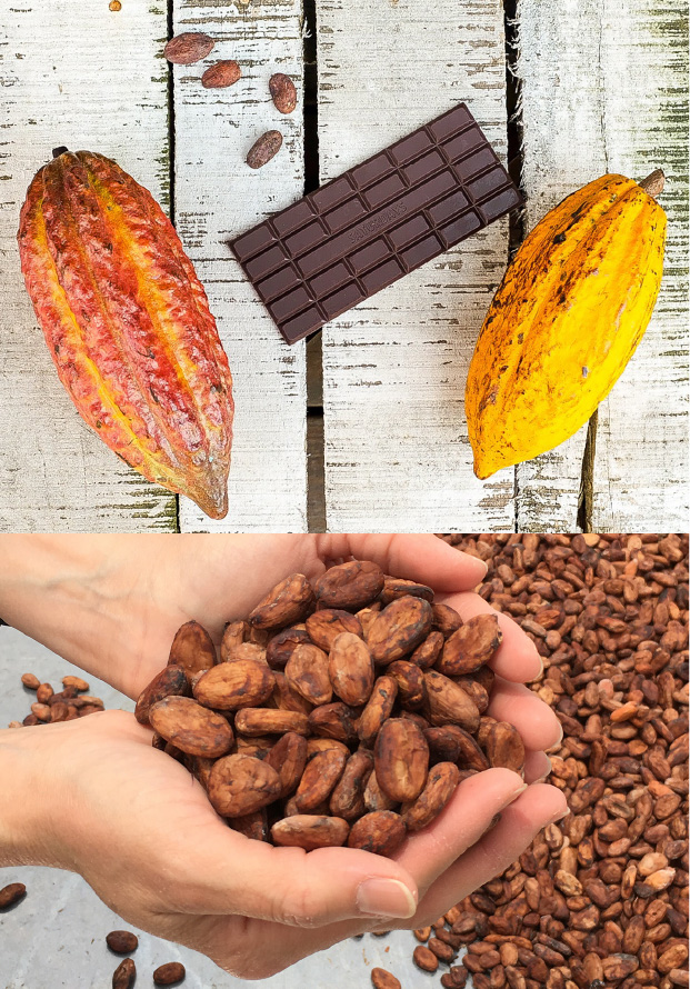 道産食材使用のチョコレートと人気のブラウニーを詰めた４種のセット