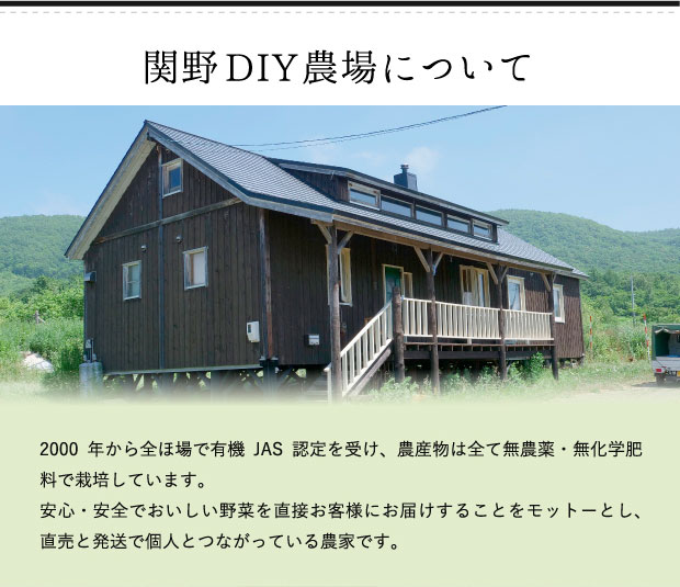 関野DIY農場について