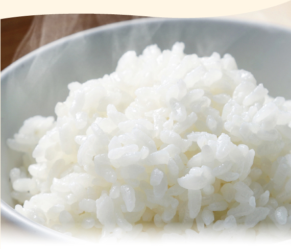 ふっくらツヤがありとても美味しそうな炊き立てのお米