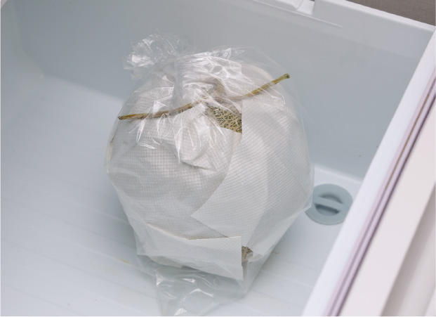 大玉メロンティアラ約2.6㎏