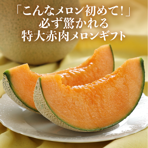 大玉メロンティアラ約2.6㎏