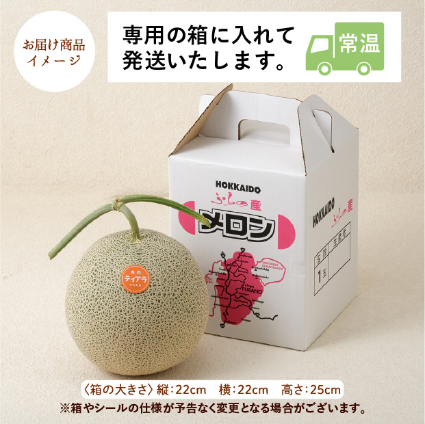 大玉メロンティアラ約2.6㎏