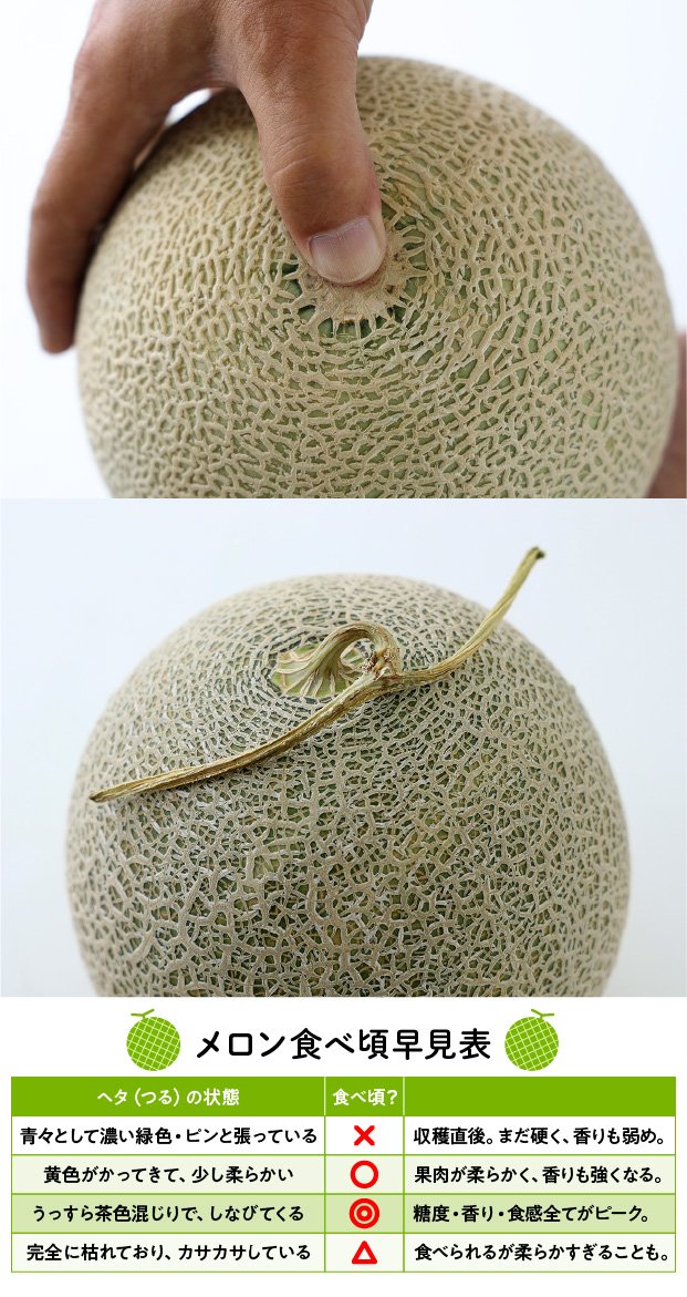 キスロマン秀品約1.6kg