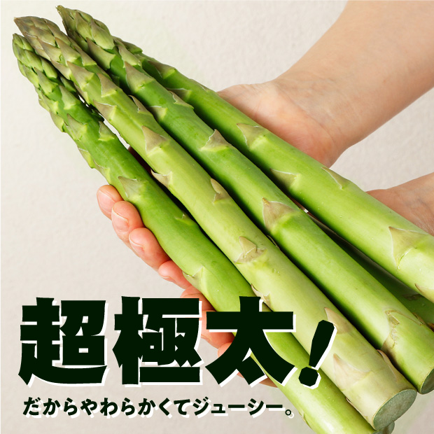 収穫量が少なく、市場やスーパーにはなかなか出回らない大変希少な3Lサイズ