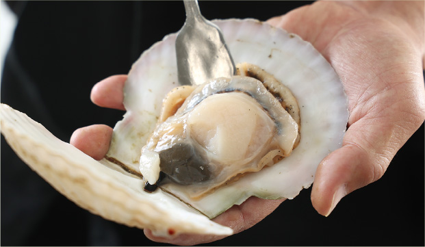 alt="宗谷産