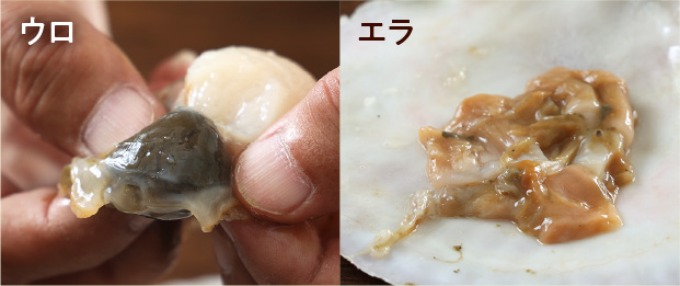 alt="宗谷産