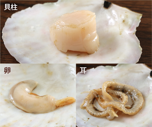 alt="宗谷産