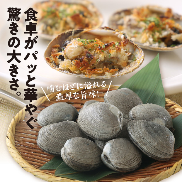 横綱あさり