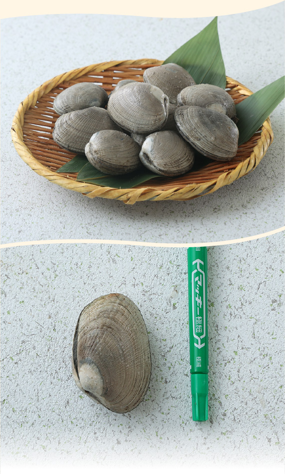 横綱あさり