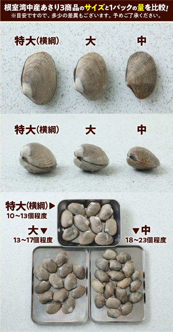 根室湾中産あさり