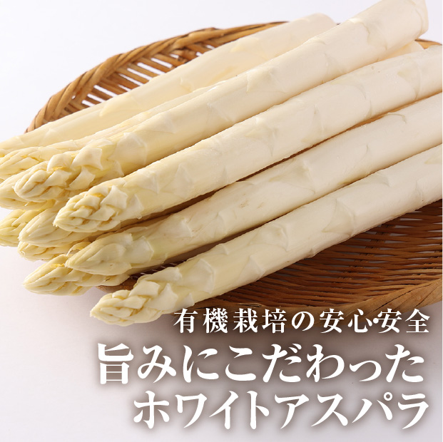 収穫したての新鮮なホワイトアスパラ