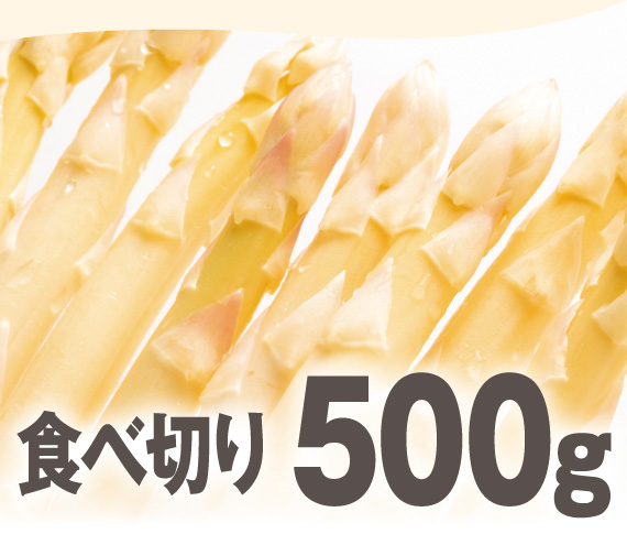 新鮮なホワイトアスパラのアップ