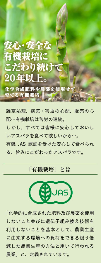 有機栽培グリーンアスパラ カルデラの貴公子 2l 北海道 後志 お取り寄せ 食べレア北海道 公式通販