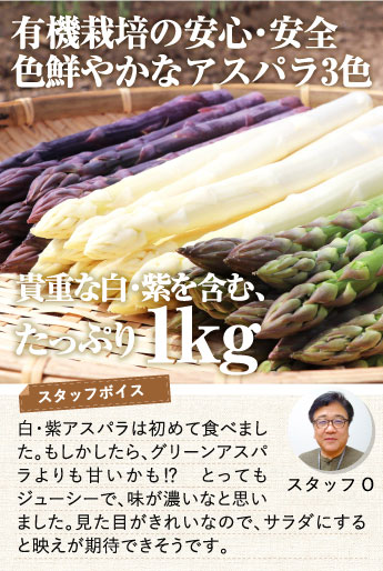 赤井川村産 有機栽培カルデラのアスパラ3色セット 緑 白 紫 1 食べレア北海道 北海道の食材の レア な魅力を全国に発信する通販サイト