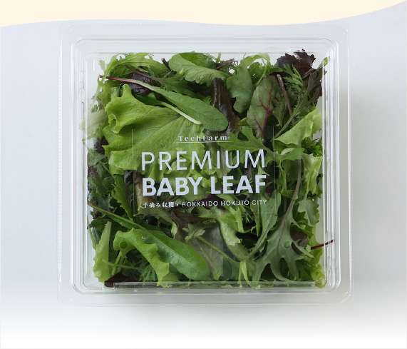手摘みプレミアムベビーリーフ