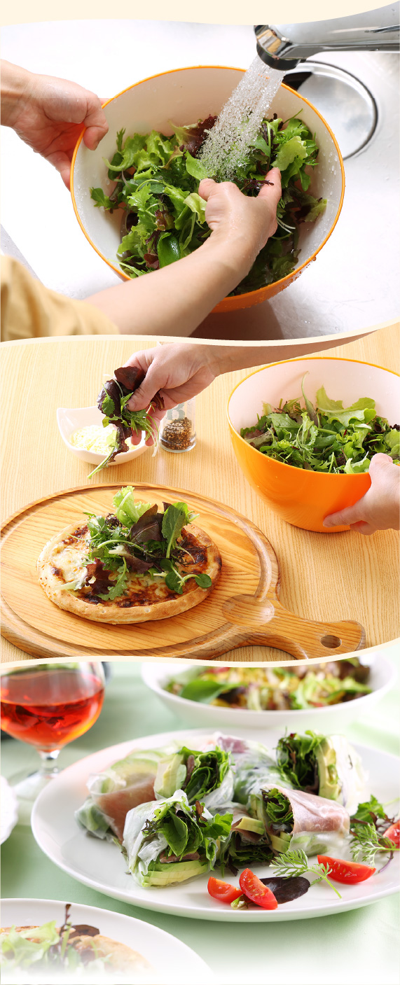 手摘みプレミアムベビーリーフ