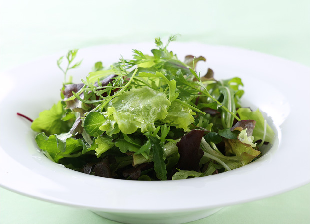 手摘みプレミアムベビーリーフ