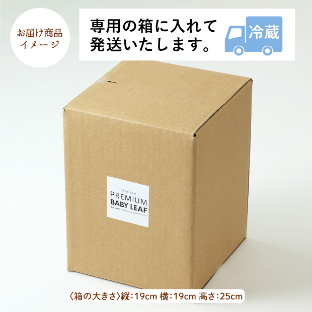 手摘みプレミアムベビーリーフ