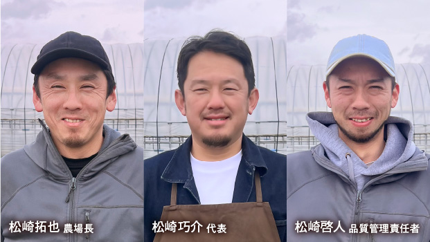 手摘みプレミアムベビーリーフ