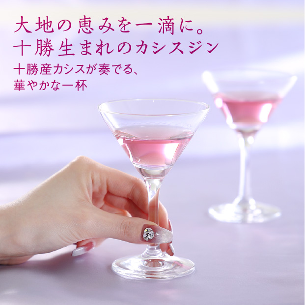 クラフトジンカシス