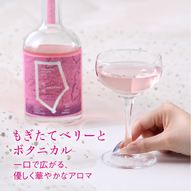 クラフトジンラズベリー
