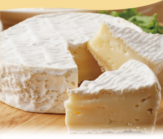 とても美味しそうな十勝野フロマージュのカマンベールチーズ