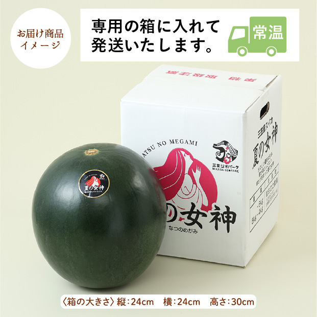 夏の女神すいか