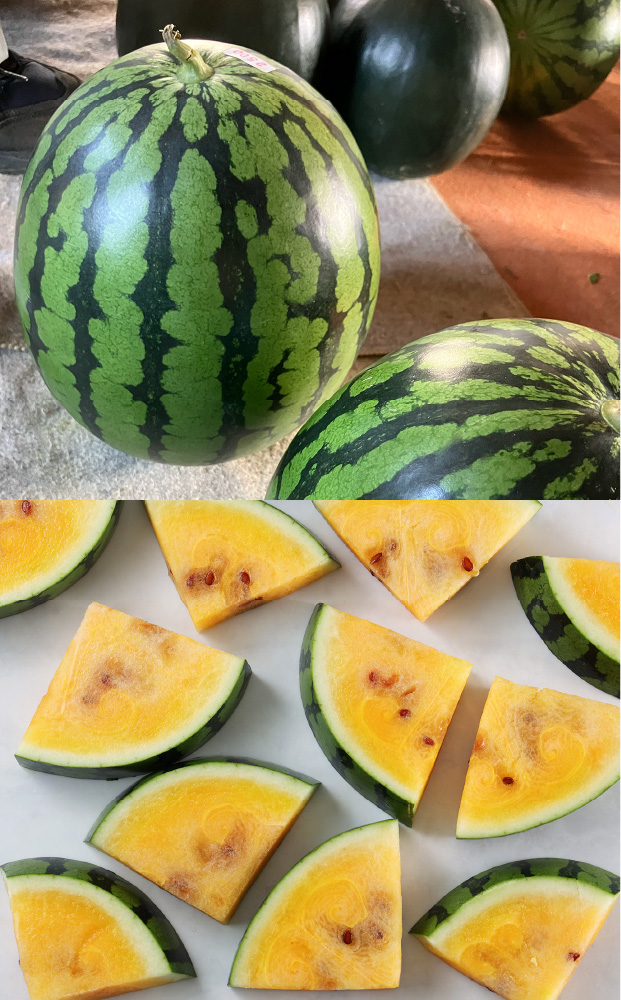 夏のほほえみすいか