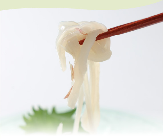 函館いかソーメン
