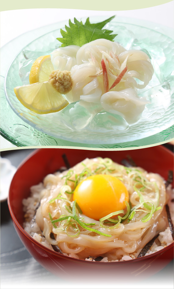函館いかソーメン