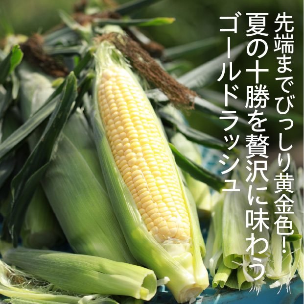 芽室産ゴールドラッシュ