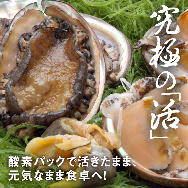 活あわび 酵素パック