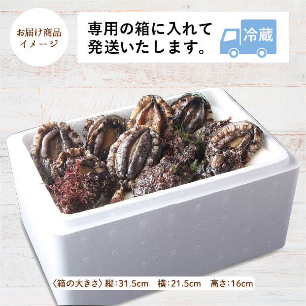 活あわび 酵素パック
