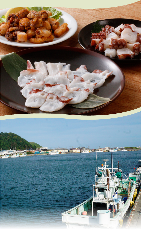 美味しそうなタコ3種と散布(ちりっぷ)漁港の景色