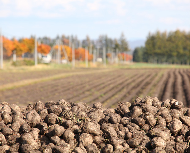 すこやかパートナー