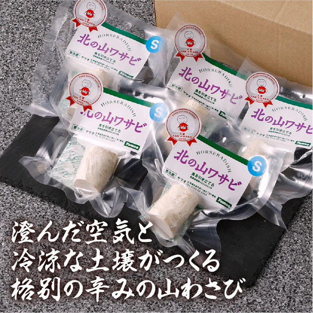 北の山わさび根茎