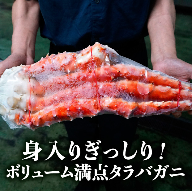 タラバガニ　肩脚セクション3L