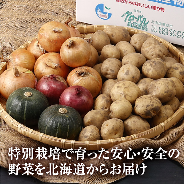 特別栽培　秋の収穫5種セット（じゃがいも・玉ねぎ・ミニかぼちゃセット）