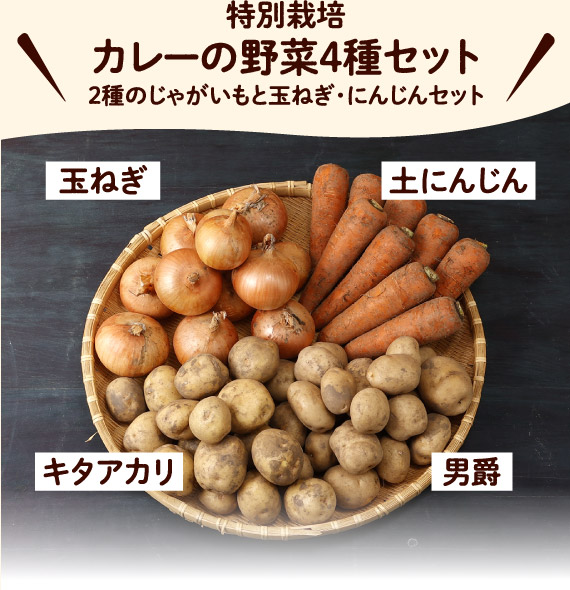特別栽培　カレーの野菜4種セット（2種のじゃがいもと玉ねぎ・にんじんセット）