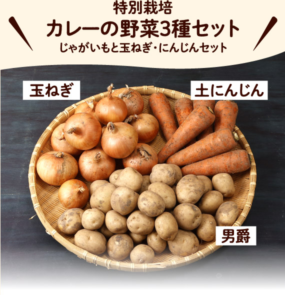 特別栽培　カレーの野菜3種セット（じゃがいも・玉ねぎ・にんじんセット