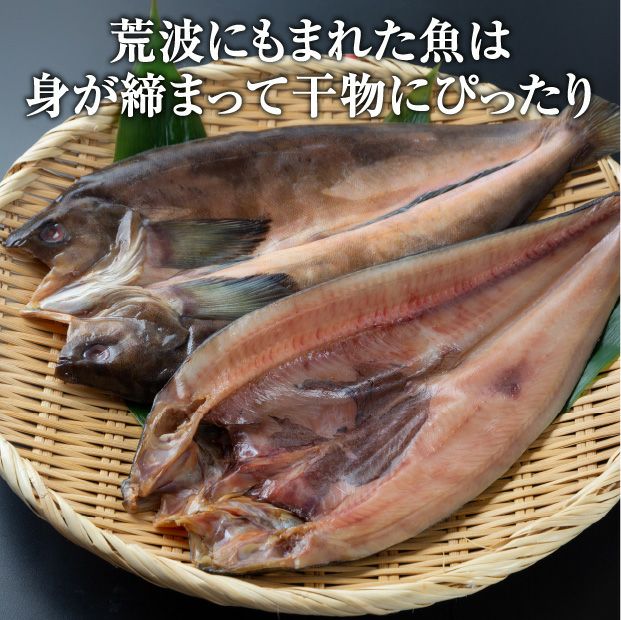 十勝広尾産 高級一夜干し【贅沢セット】