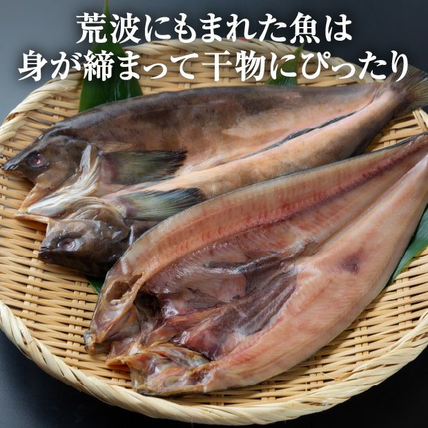 十勝広尾産 高級一夜干し【なまらうまいセット】