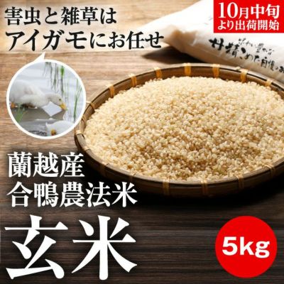 しょうちゃん　新米蘭越産ゆめぴりか　玄米23kg 000000001950-01-m.jpg?t=