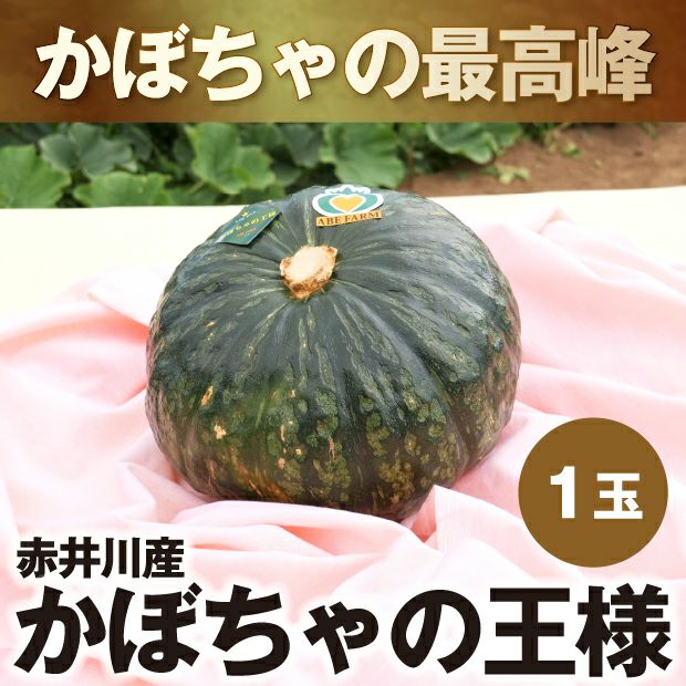 かぼちゃの王様（1玉入り） 野菜 ｜食べレア北海道 物産 お取り寄せ