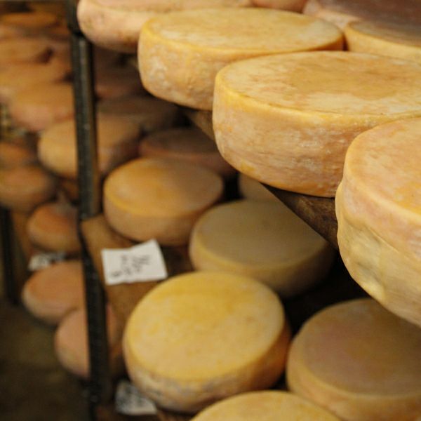 チーズ4種 食べレアセレクトA
