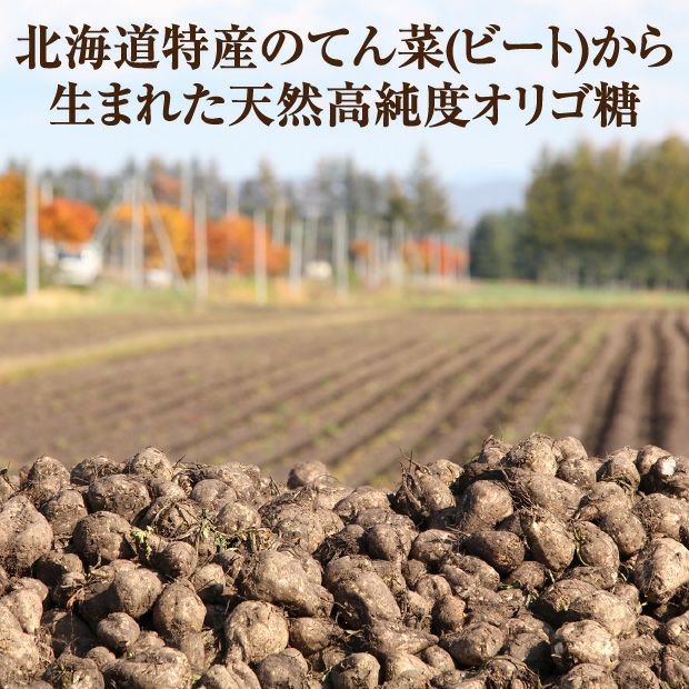 すこやかパートナー×2パック