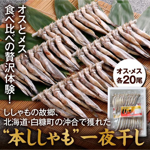 白糠漁協 一夜干し本ししゃも40尾(オス・メス各20尾)｜食べレア北海道