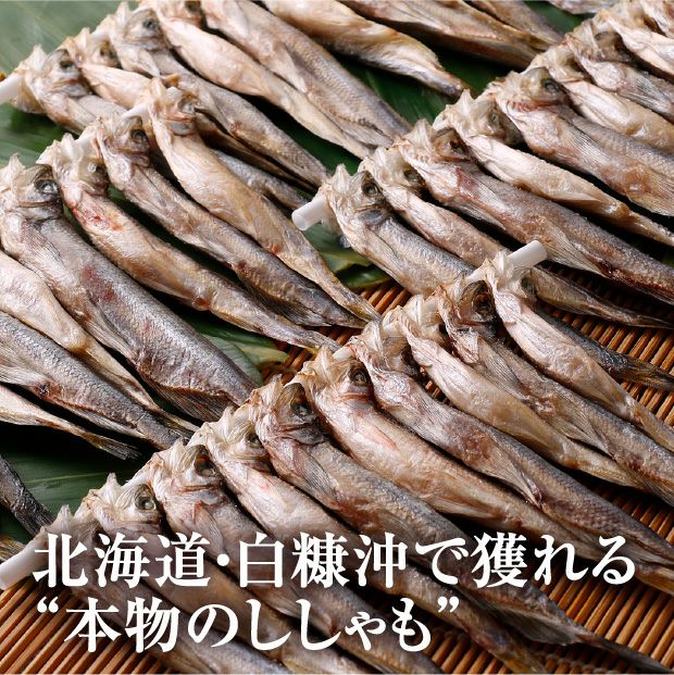 一夜干し本ししゃも